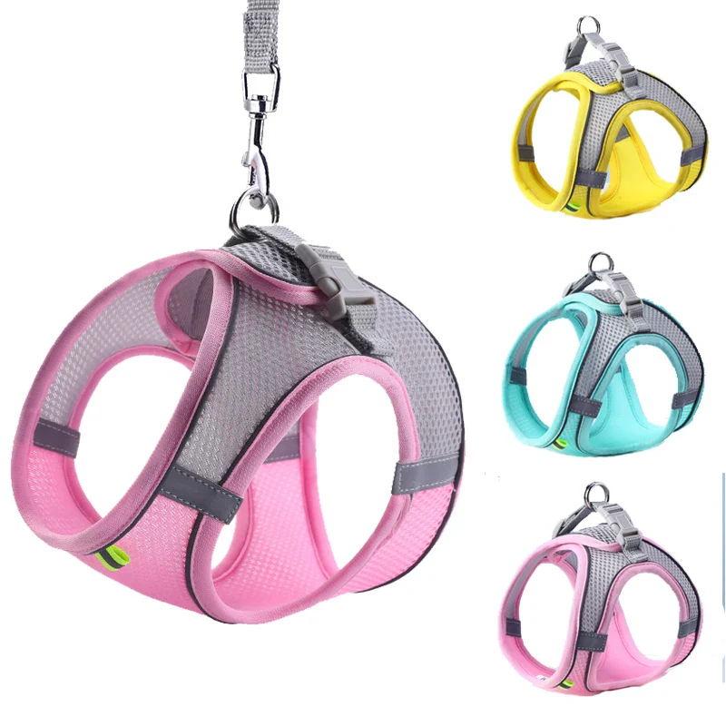 pink dachshund harness